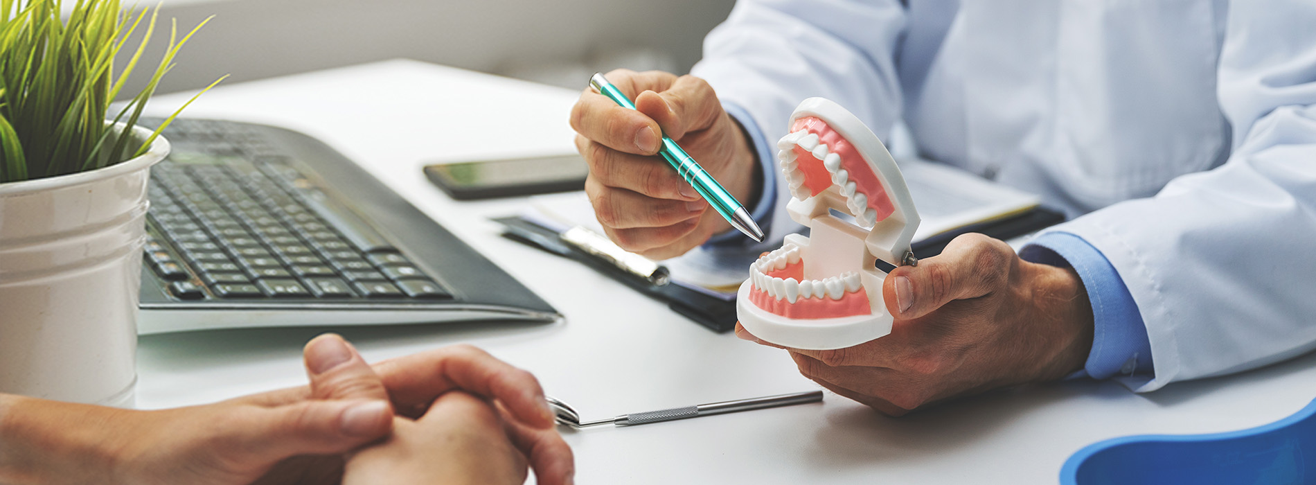 The image features a dental professional holding a patient s mouth open, with the dentist showing their own teeth to the patient. They are in an office setting, and there is a potted plant nearby.