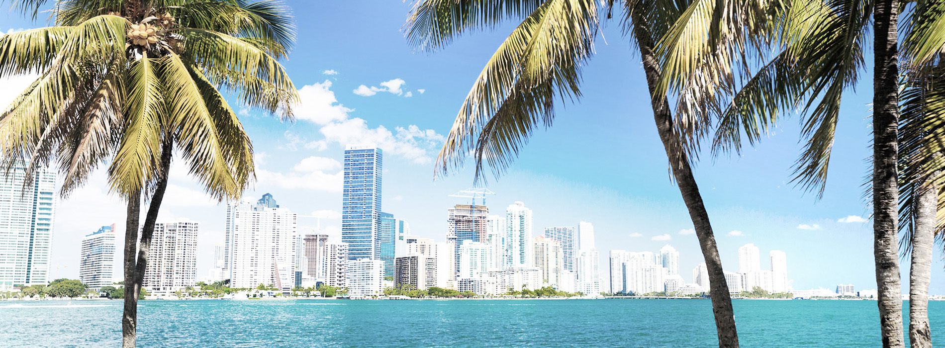 The image depicts a tropical beach scene with palm trees, a clear blue sky, and a city skyline in the background.