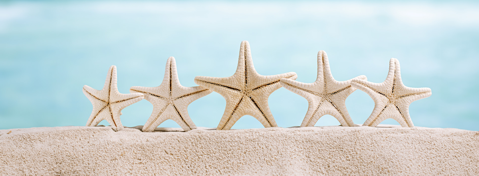 The image shows a collection of starfish-shaped objects, possibly decorative ornaments, arranged in two rows on a sandy surface with a blurred beach background.